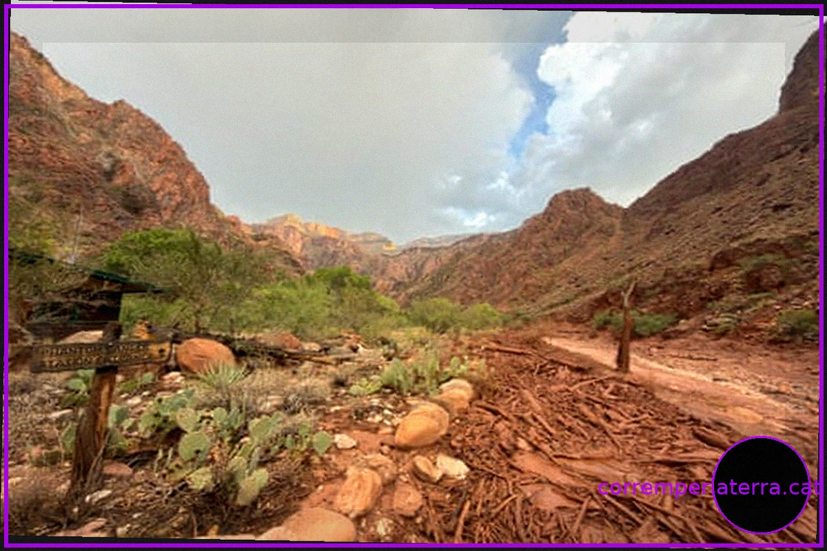 Al menos 15 personas podrían estar desaparecidas tras inundación repentina en el Gran Cañón de Arizona